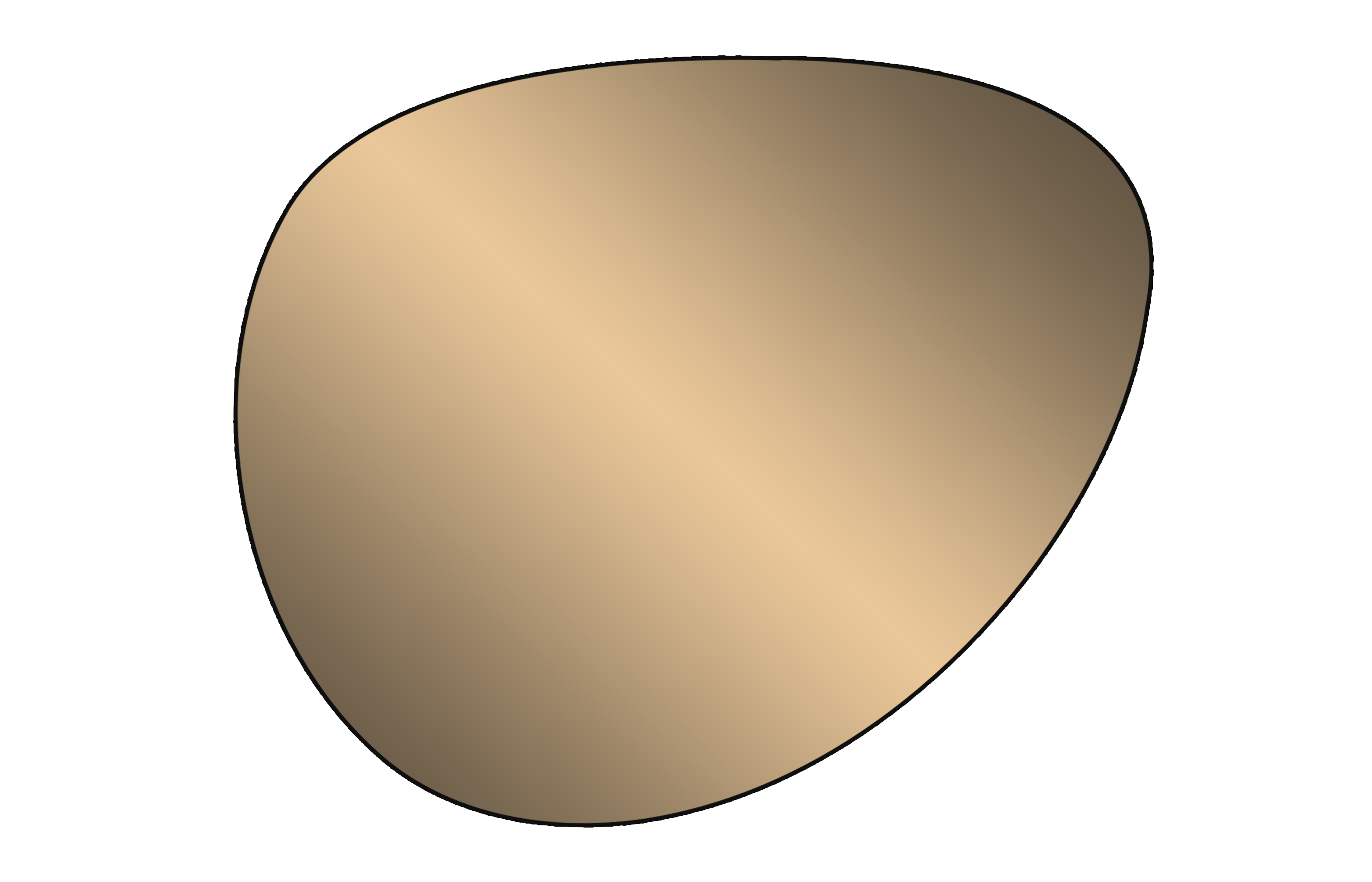 Progressive Polarized Mirror Lens