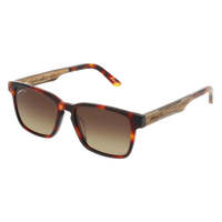 BRANCH - Classic Tortoise - Sunglasses - Johnny Fly Eyewear | #color_classic-tortoise