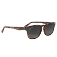 Splinter • Classic Tortoise