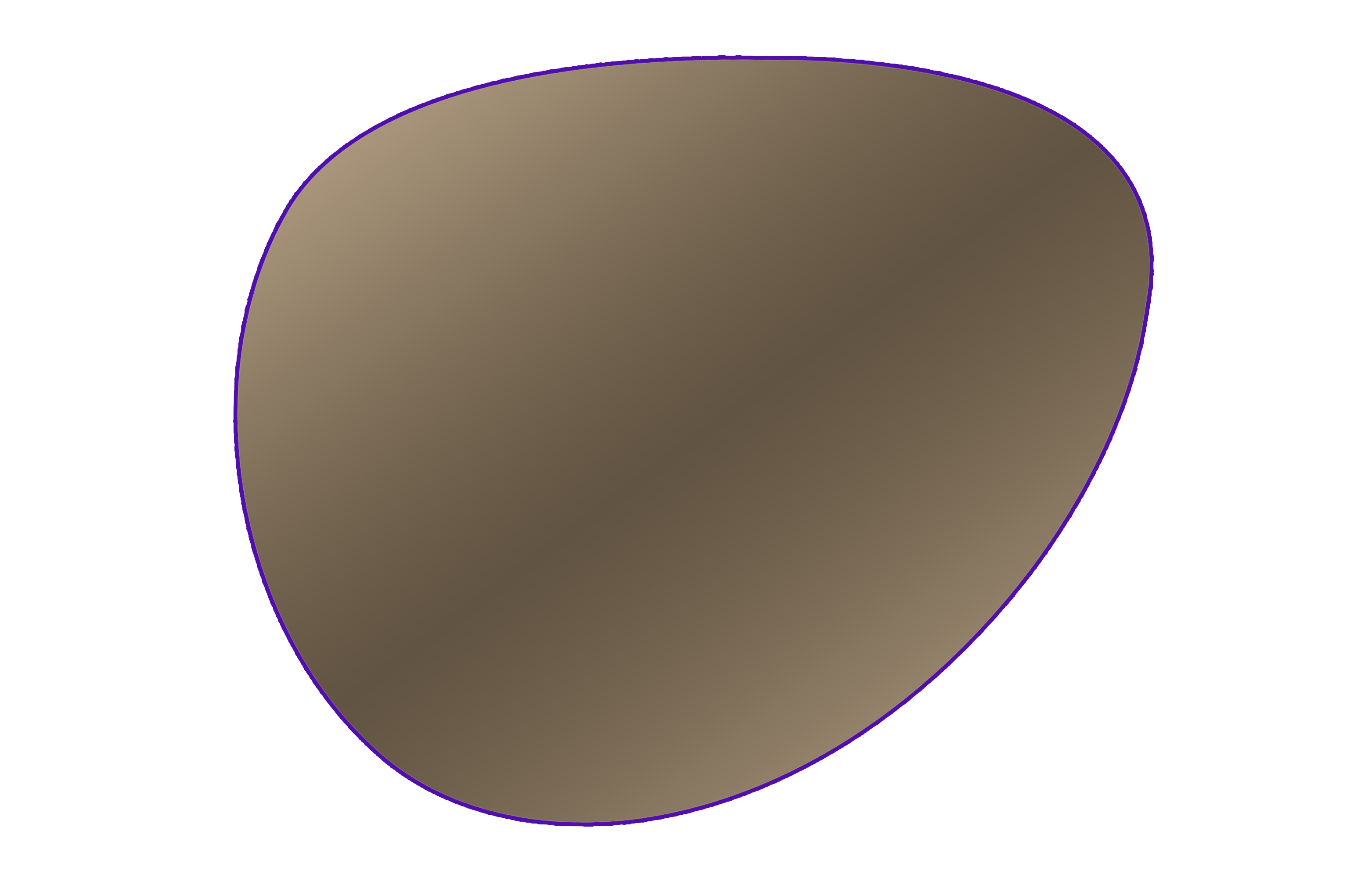 Progressive Polarized Mirror Lens
