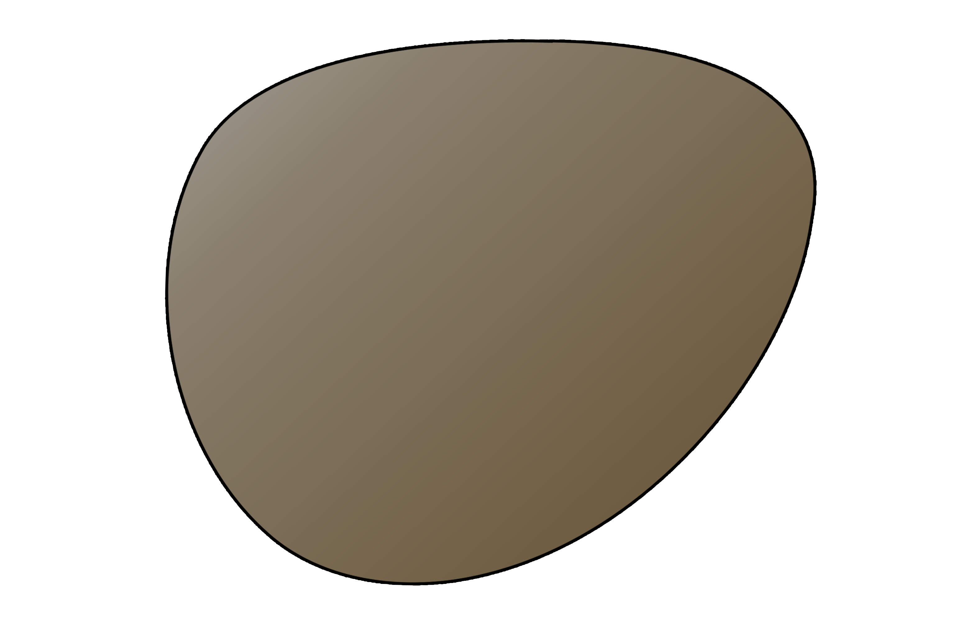 Progressive Non-Polarized Sunglasses Lens