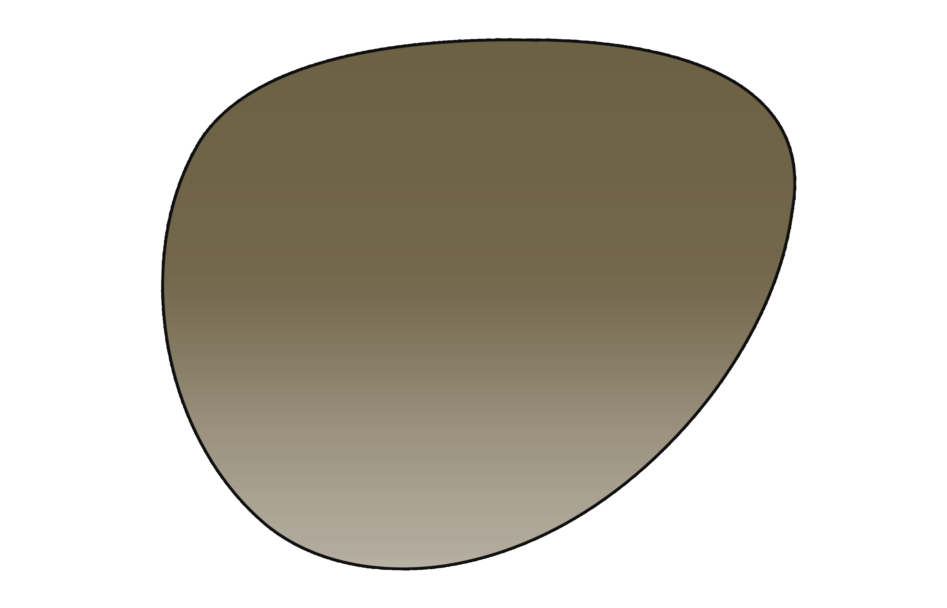Progressive Non-Polarized Sunglasses Lens