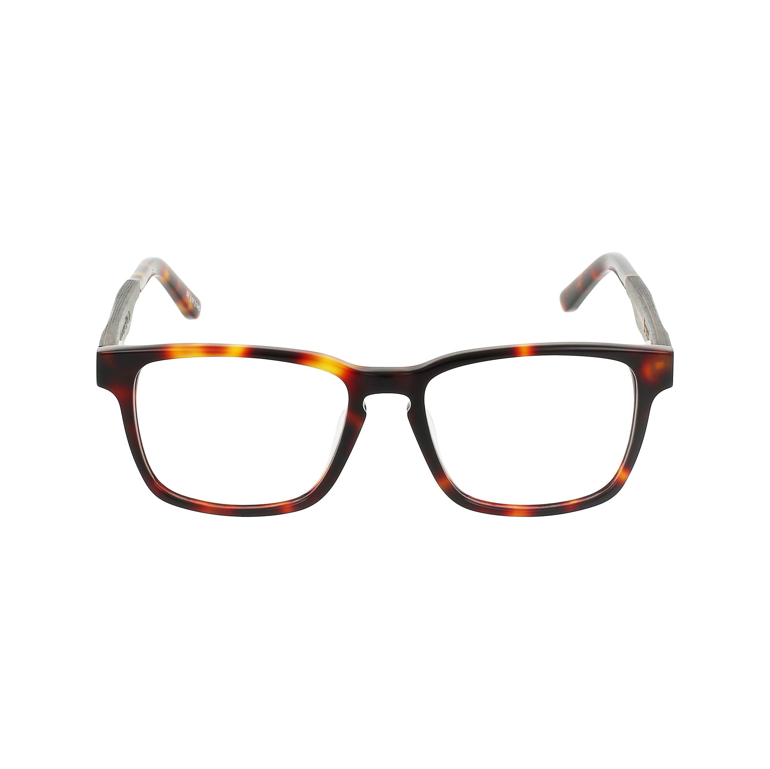 BRANCH Eyeglasses Frame - Classic Tortoise- Johnny Fly | BRA-CTRT-FRA | | 