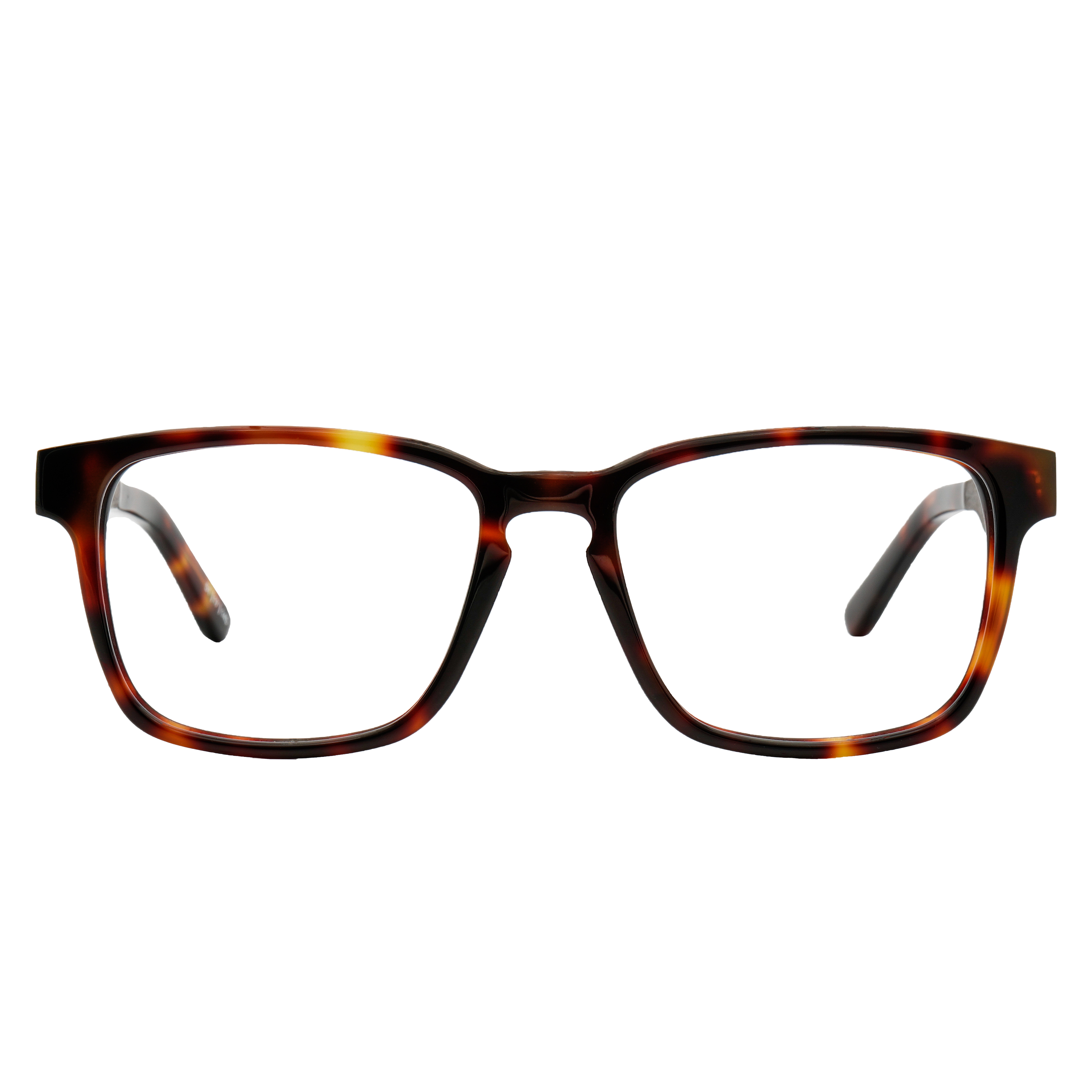 BRANCH BLUGARD  - Classic Tortoise - Blue Light Reader - Johnny Fly Eyewear 