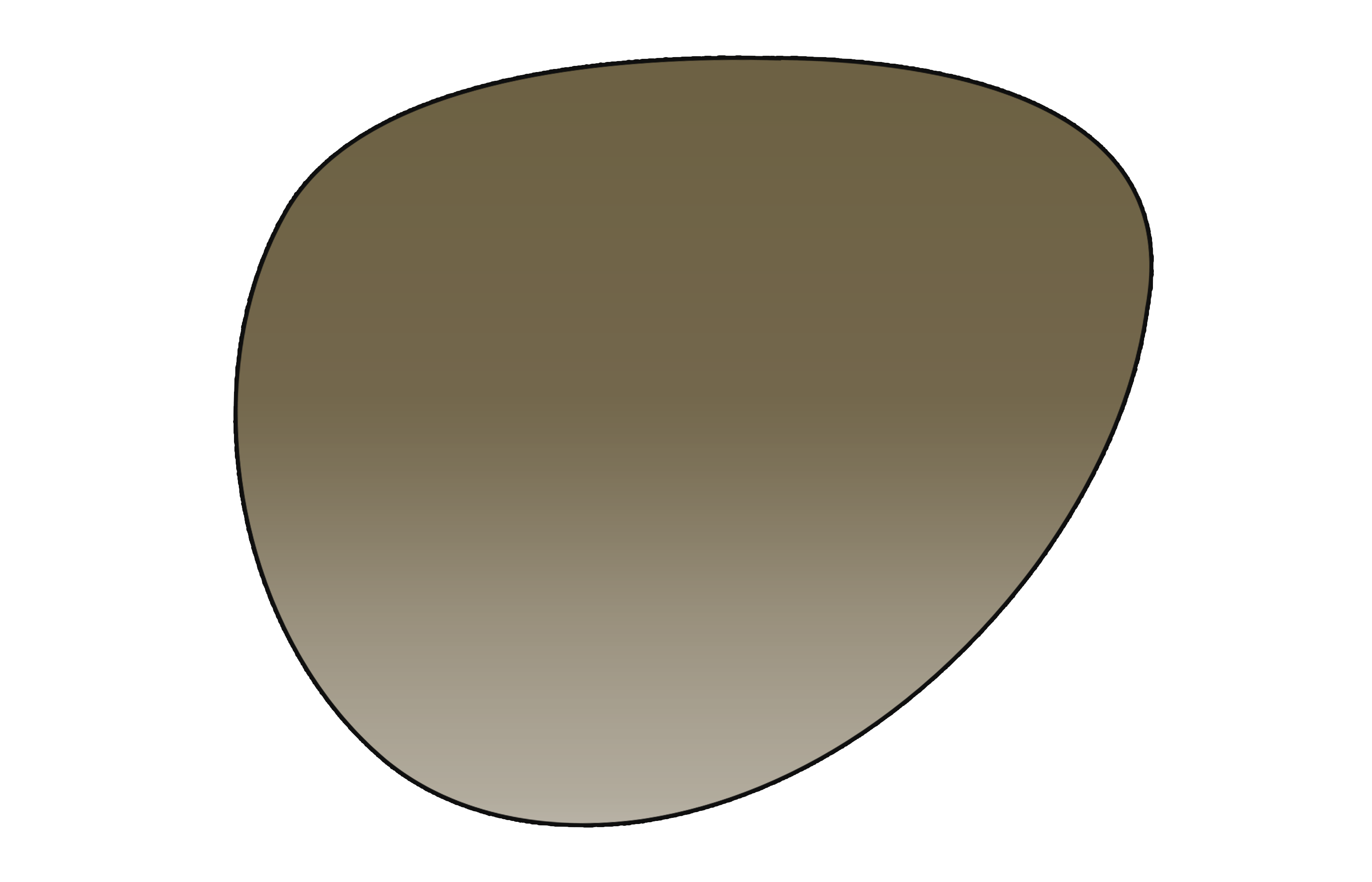 Single Vision NON-Polarized Sunglass Lens - LensAdvizor - Brown Gradient - LensAdvizor