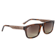 Brown Gradient Polarized