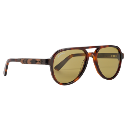 Apache • Classic Tortoise