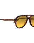 Apache • Classic Tortoise