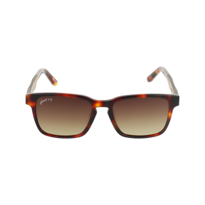 BRANCH - Classic Tortoise - Sunglasses - Johnny Fly Eyewear | 