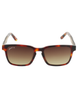 BRANCH - Classic Tortoise - Sunglasses - Johnny Fly Eyewear | 