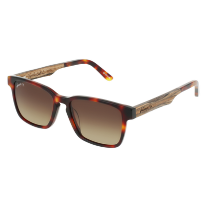 BRANCH - Classic Tortoise - Sunglasses - Johnny Fly Eyewear | 