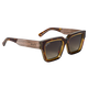 Brown Gradient Polarized