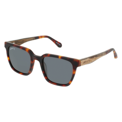 LONGITUDE - Matte Classic Tortoise - Sunglasses - Johnny Fly Eyewear | #color_matte-classic-tortoise