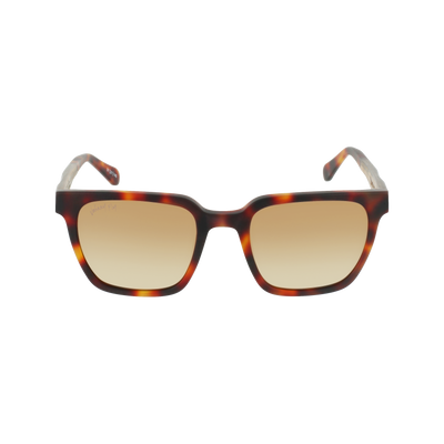 LONGITUDE - Matte Classic Tortoise - Sunglasses - Johnny Fly Eyewear | #color_matte-classic-tortoise