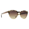 LATITUDE - Chai Tortoise - Sunglasses - Johnny Fly Eyewear | #color_chai-tortoise