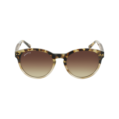 LATITUDE - Chai Tortoise - Sunglasses - Johnny Fly Eyewear | #color_chai-tortoise