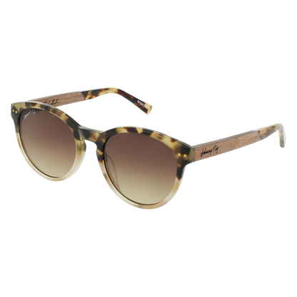 LATITUDE - Chai Tortoise - Sunglasses - Johnny Fly Eyewear | 