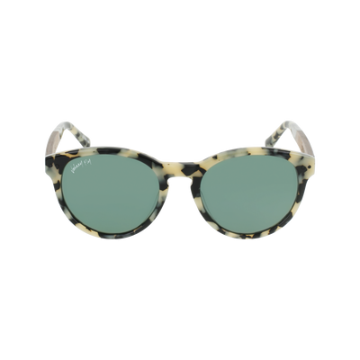 Latitude • White Tortoise