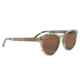 Chocolate Brown Polarized
