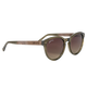 Brown Gradient Polarized