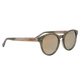 Gold Gradient Reflect Polarized