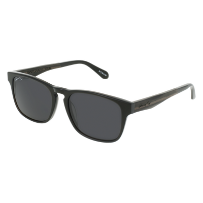 Splinter || Anniversary Edition