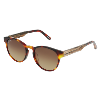 FLIGHT Sunglasses Frame - Classic Tortoise- Johnny Fly | FLI-CTRT-BG126-BGR-EBN | | #color_classic-tortoise