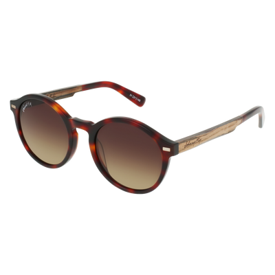UFO Sunglasses Frame - Classic Tortoise- Johnny Fly | UFO-CTRT-BG126-BGR-EBN | | #color_classic-tortoise