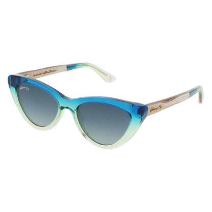 VISTA Sunglasses Frame - Tide- Johnny Fly | VIS-TID-POL-SMGR | | 