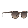 ALTITUDE - Rose Tortoise - Sunglasses - Johnny Fly Eyewear | #color_rose-tortoise