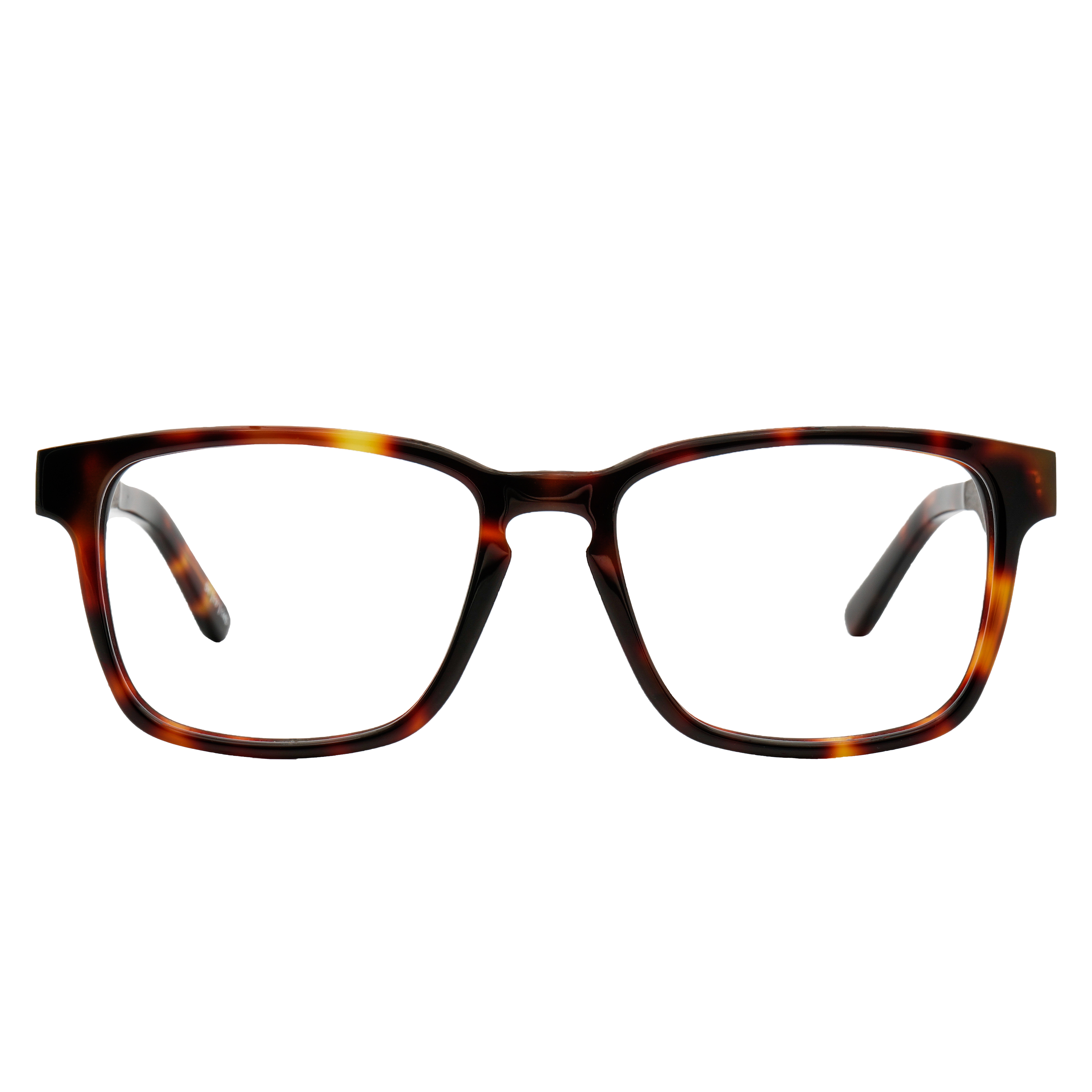 BRANCH Frame - Classic Tortoise - Eyeglasses Frame - Johnny Fly Eyewear | 