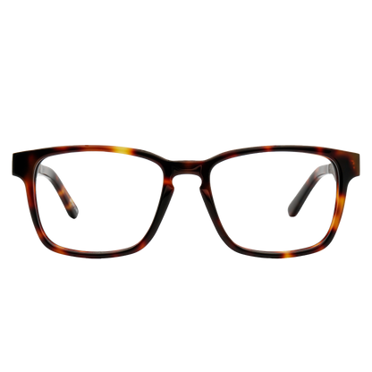 BRANCH Frame - Classic Tortoise - Eyeglasses Frame - Johnny Fly Eyewear | 