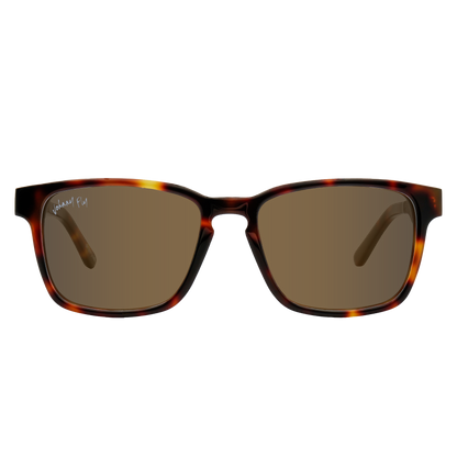 BRANCH - Classic Tortoise - Sunglasses - Johnny Fly Eyewear | 