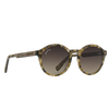 UFO - Forest - Sunglasses - Johnny Fly Eyewear | #color_forest