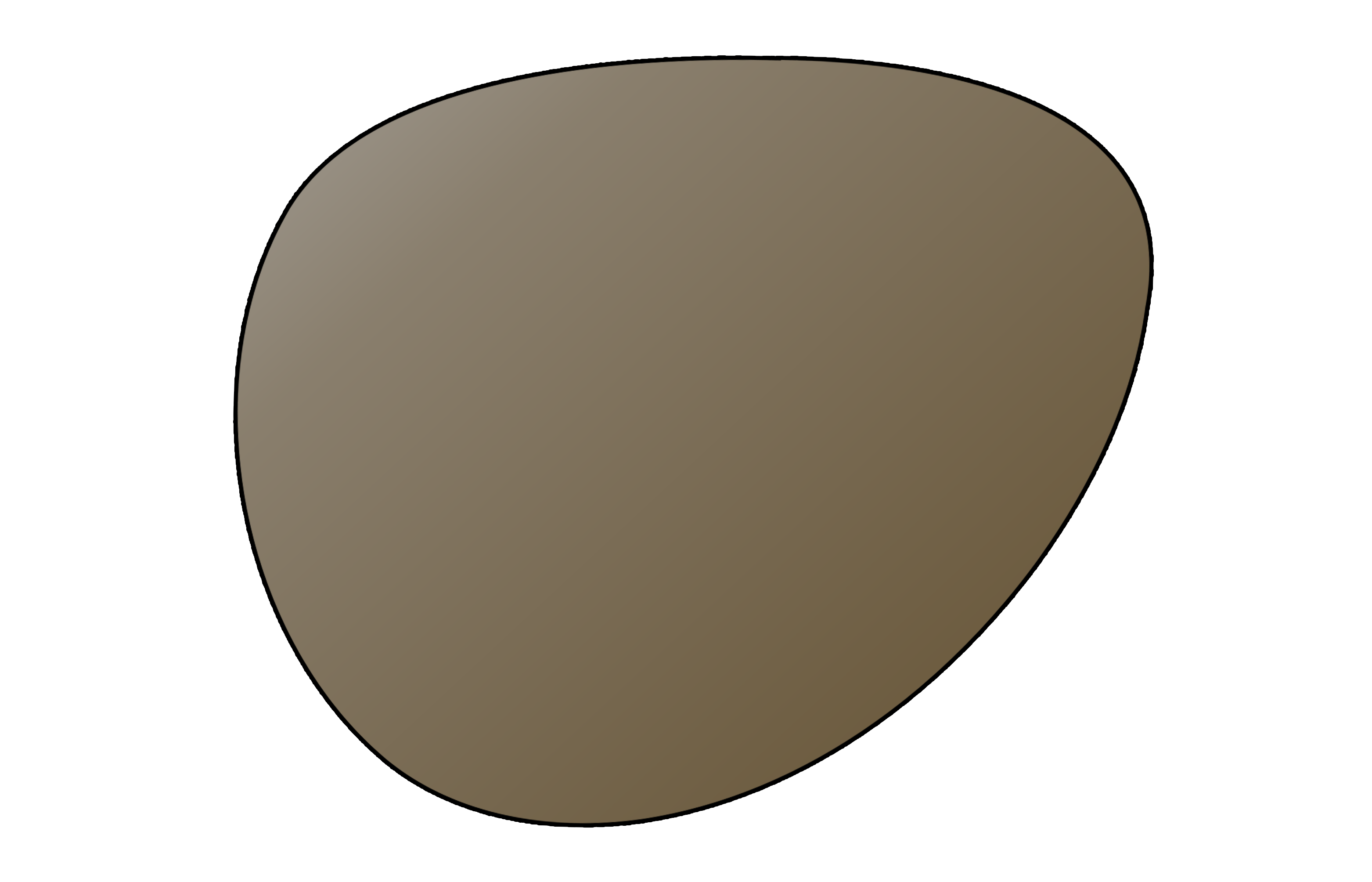 Single Vision NON-Polarized Sunglass Lens - LensAdvizor - Brown - LensAdvizor